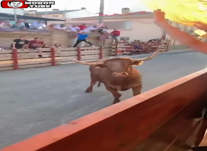Video :The bull is teased by onlookers until he